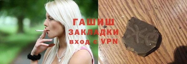 хмурый Арсеньев