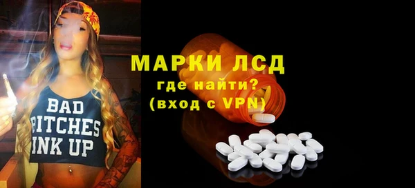 хмурый Арсеньев