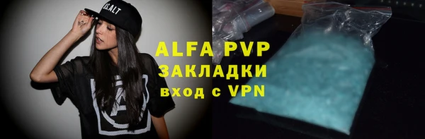 хмурый Арсеньев