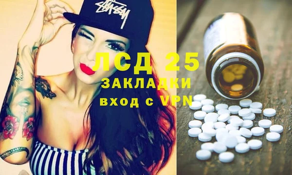 хмурый Арсеньев