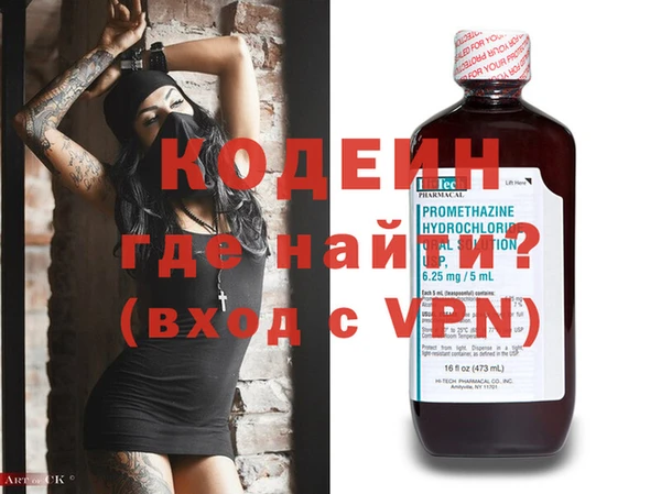 хмурый Арсеньев