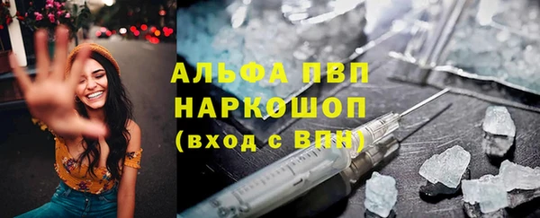 хмурый Арсеньев