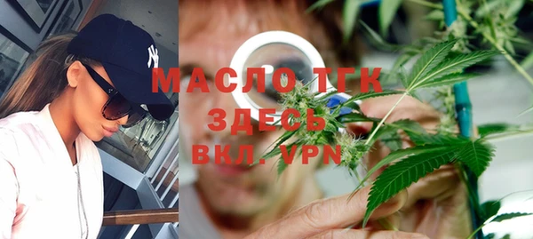 хмурый Арсеньев
